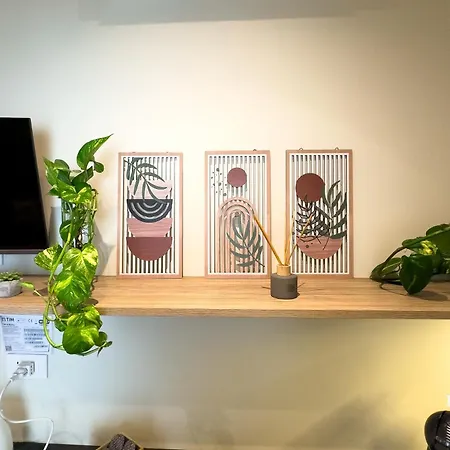 Penthouse Pignasecca - Design Guest house 4*